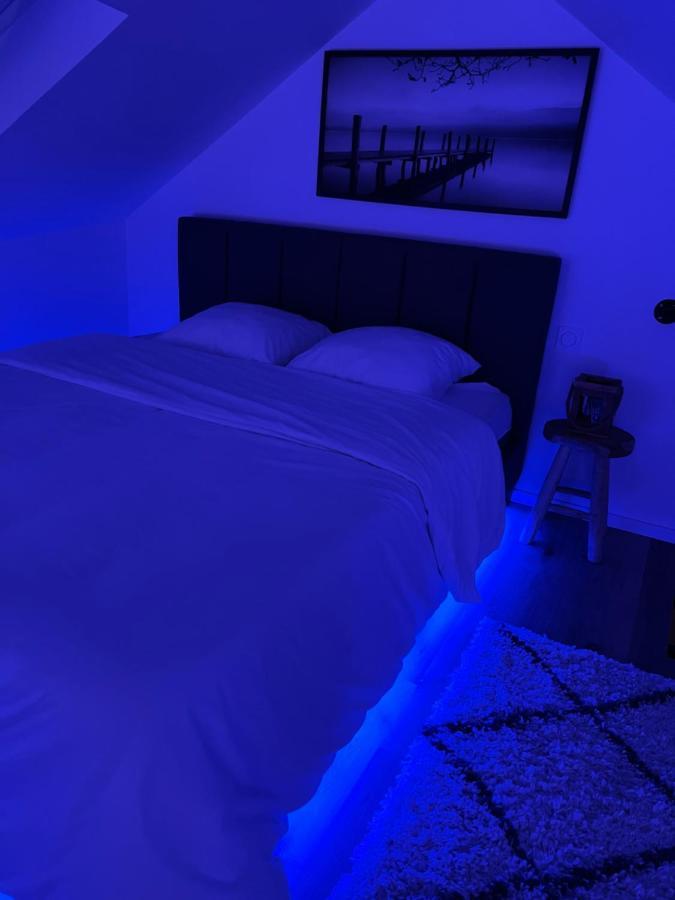 Ferienwohnung Loft Ravissant Avec Parking Gratuit Colmar Exterior foto