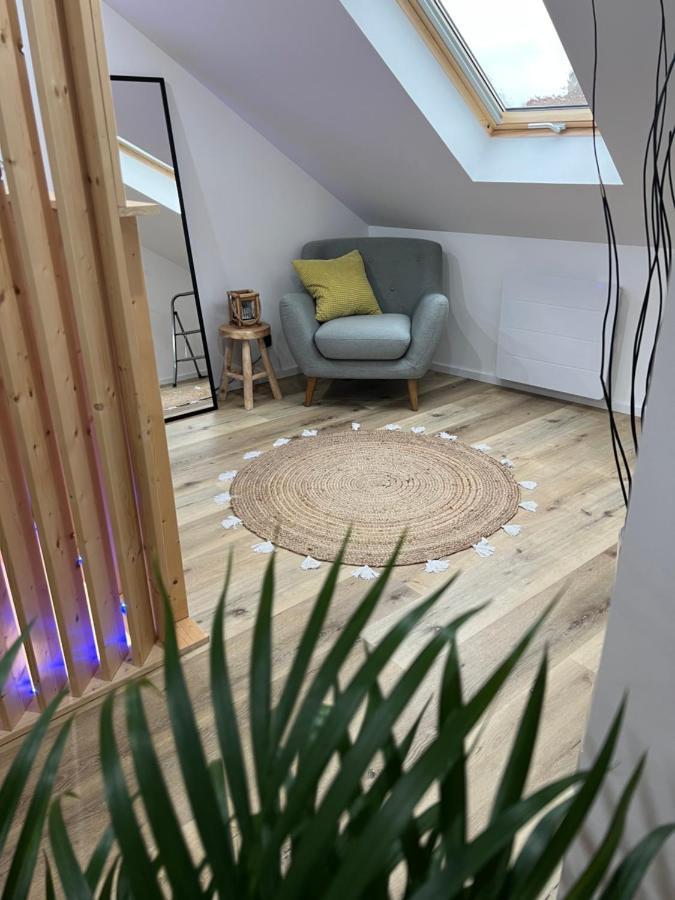 Ferienwohnung Loft Ravissant Avec Parking Gratuit Colmar Exterior foto