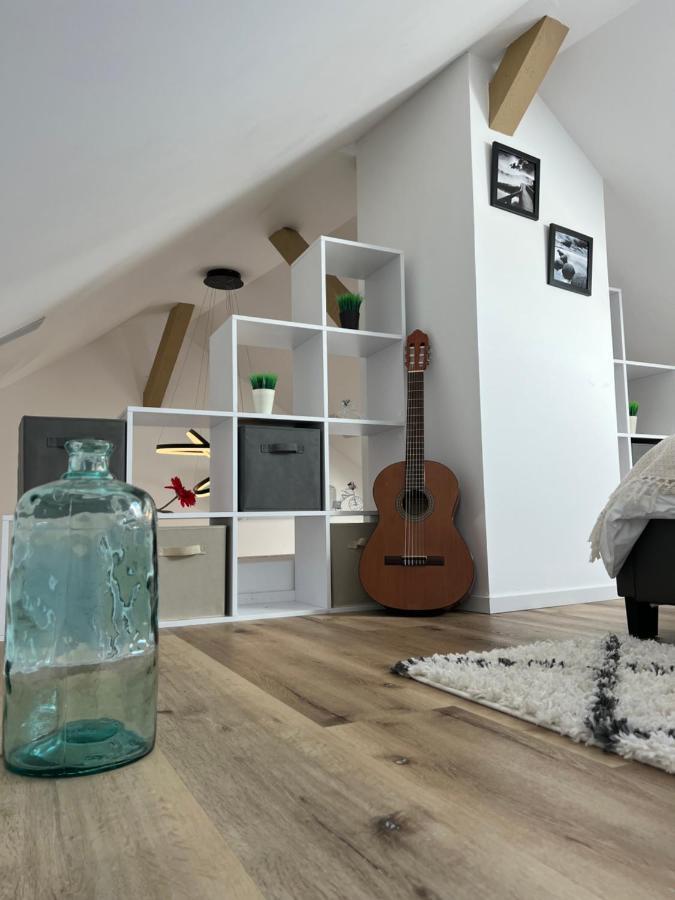 Ferienwohnung Loft Ravissant Avec Parking Gratuit Colmar Exterior foto