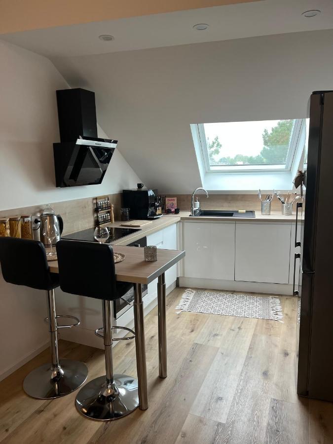 Ferienwohnung Loft Ravissant Avec Parking Gratuit Colmar Exterior foto