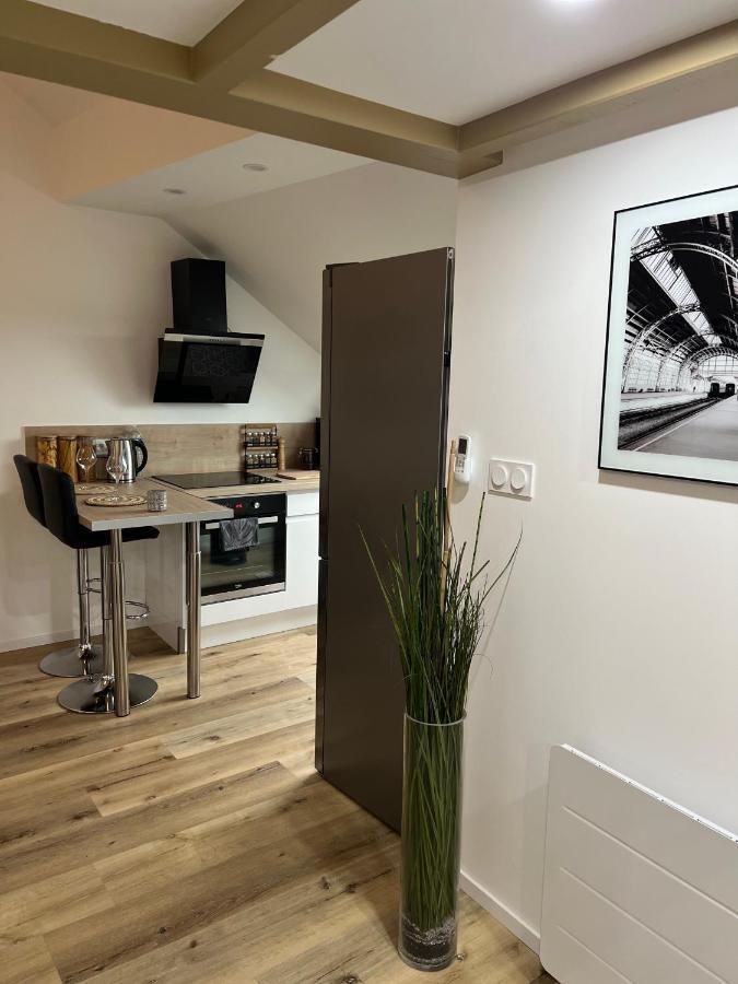Ferienwohnung Loft Ravissant Avec Parking Gratuit Colmar Exterior foto